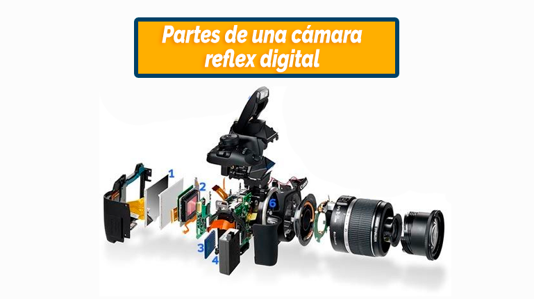 crucero habilidad miel Partes de una cámara réflex digital (DSLR) | ¿Conoces tu cámara digital? –  Blog de fotografía para principiantes