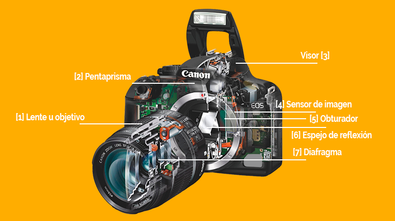partes internas de una cámara fotográfica réflex digital